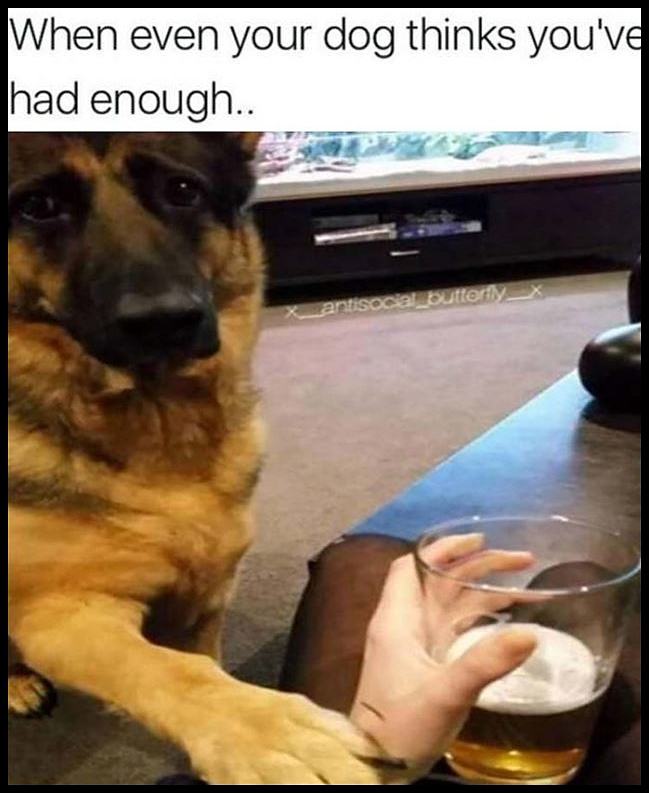 Obrázek You Have Had Enough  