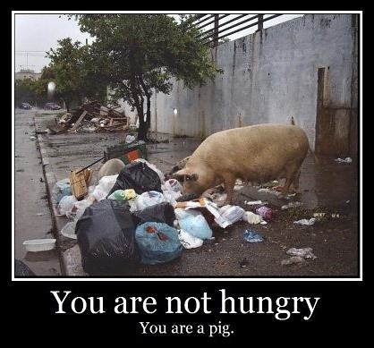 Obrázek You are starving