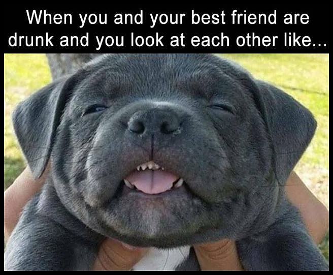 Obrázek YourBestFriend  