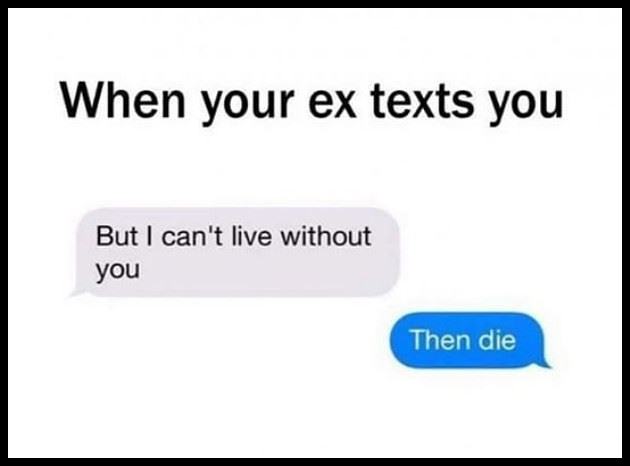 Obrázek Your Ex  