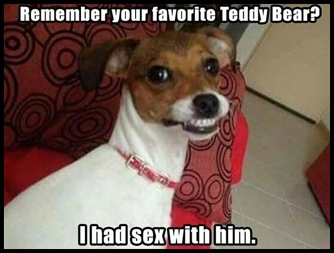 Obrázek Your Favorite Bear    