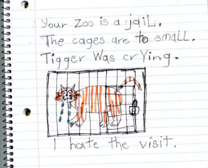 Obrázek Your Zoo