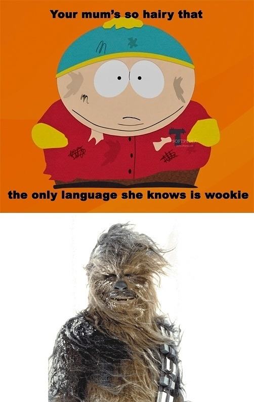 Obrázek Your mums so hairy