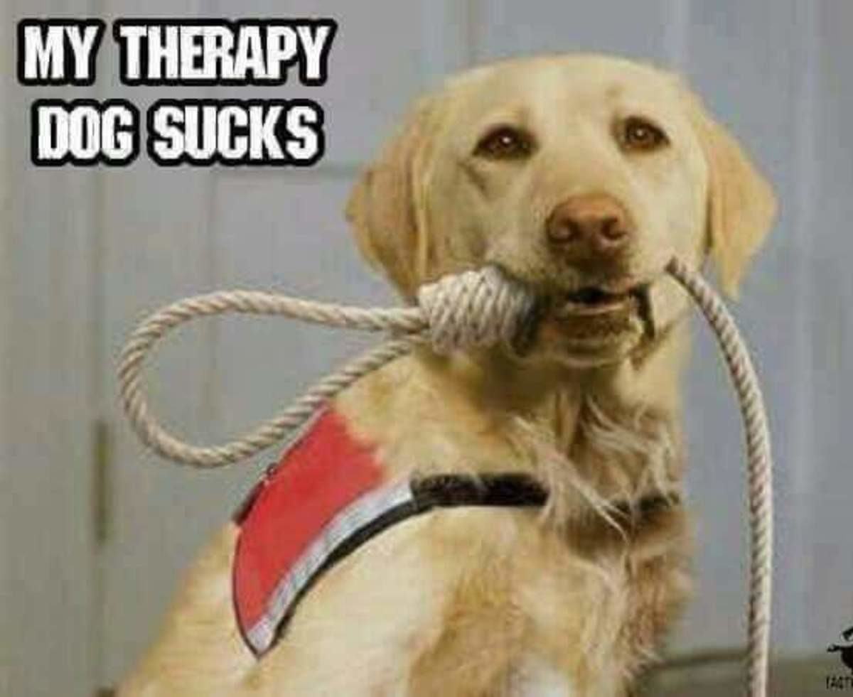 Obrázek Your therapy dog