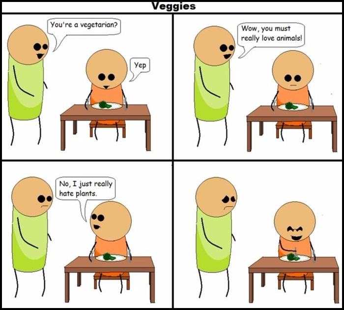 Obrázek Youre a vegetarian