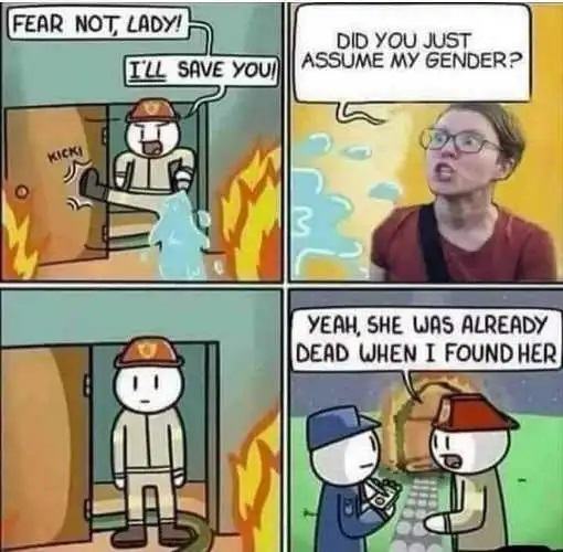 Obrázek Youre fired