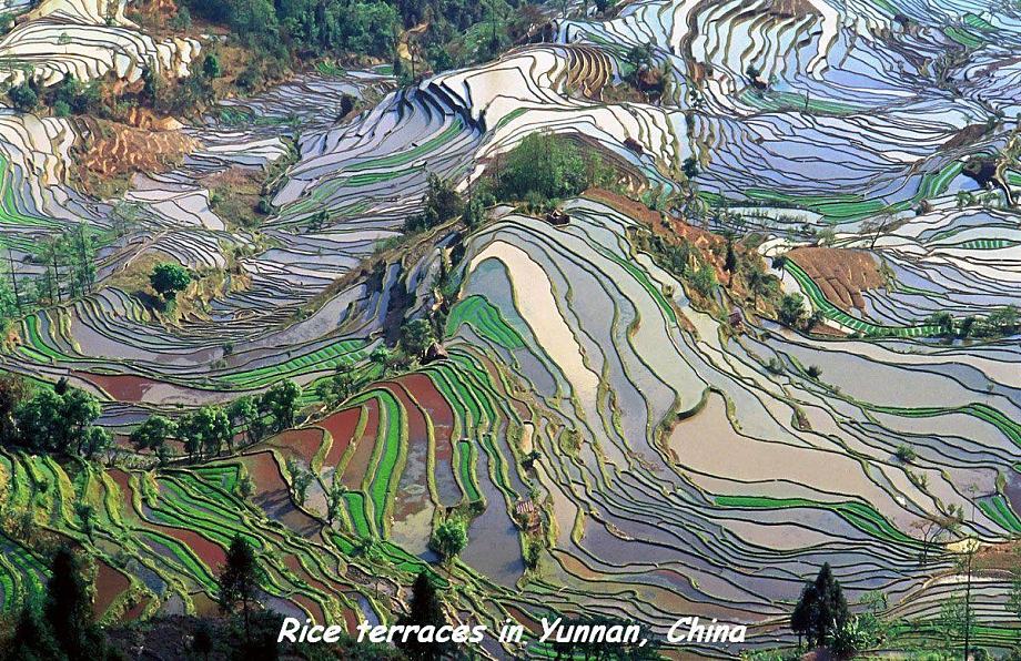 Obrázek Yunnan-China
