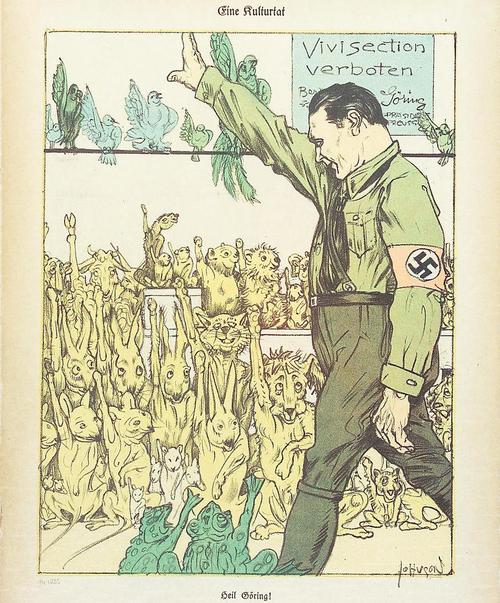 Obrázek Z historie - Diky Hermanne