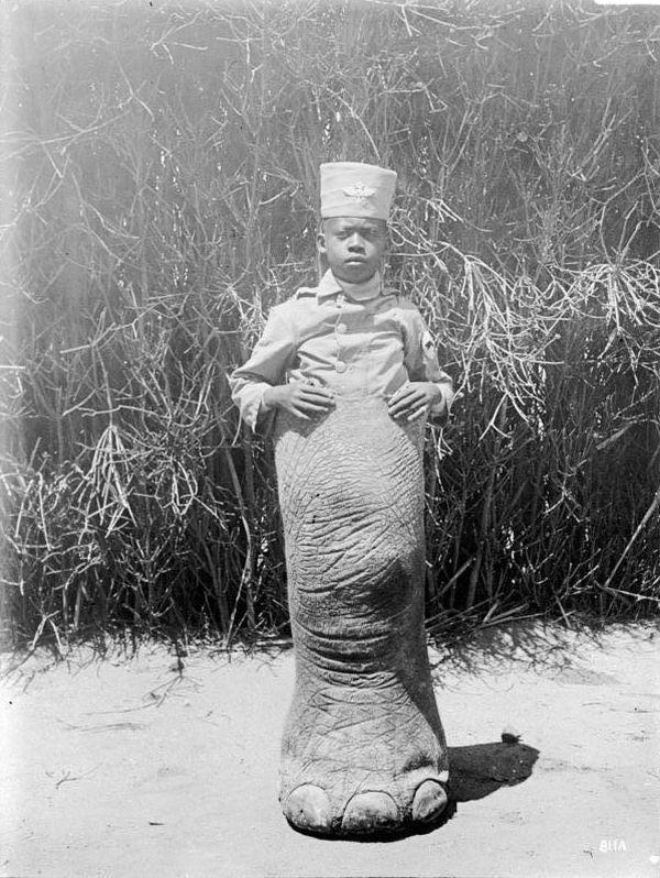 Obrázek Z historie Bakombo sloni noha