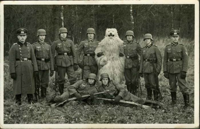 Obrázek Z historie ruskej medved