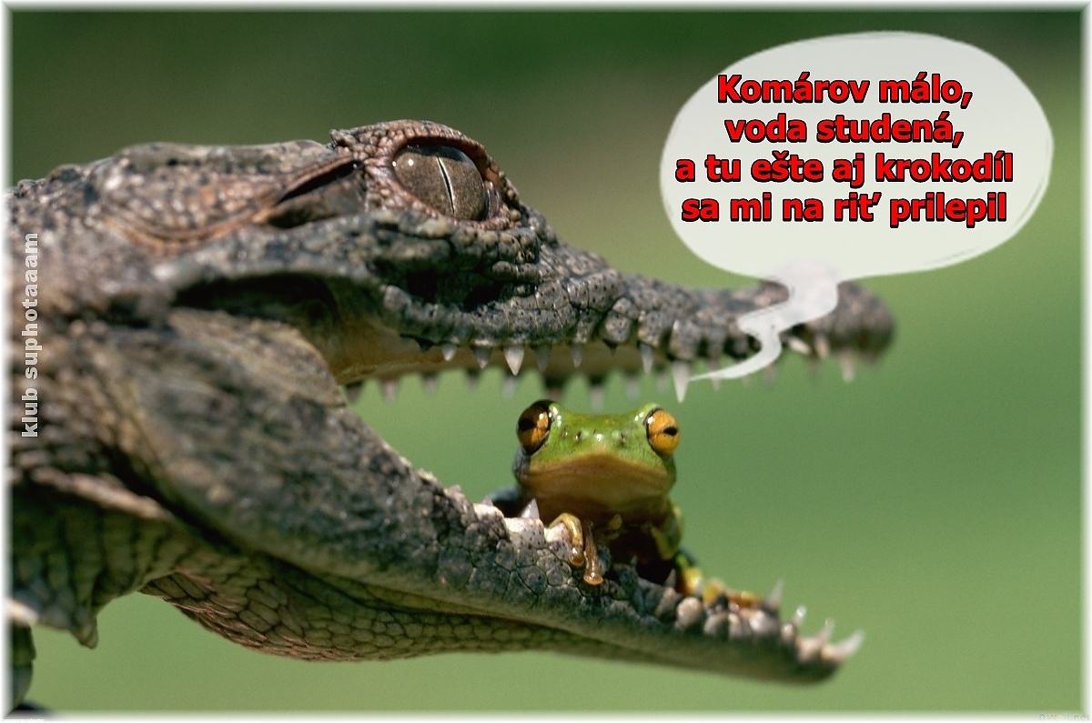 Obrázek Zaba a krokodil 03-04-2012