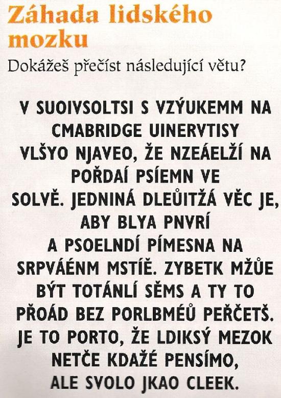 Obrázek Zahada lidskeho mozku