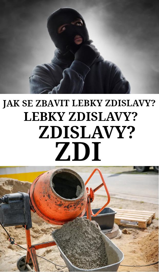 Obrázek Zdislava