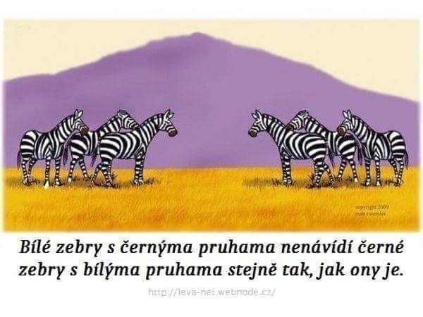 Obrázek Zebry rasistky