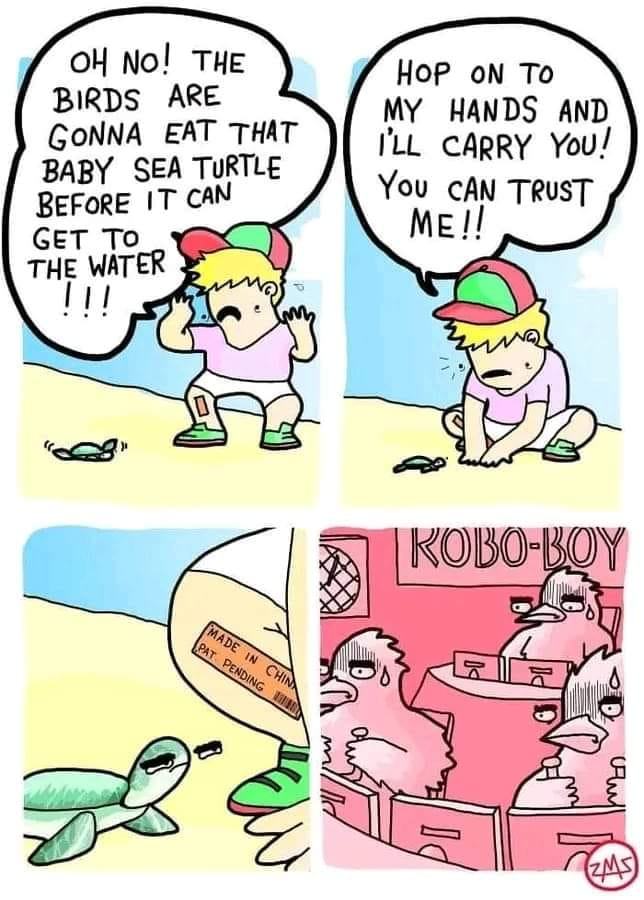 Obrázek Zelva kapitana nepotrebuje