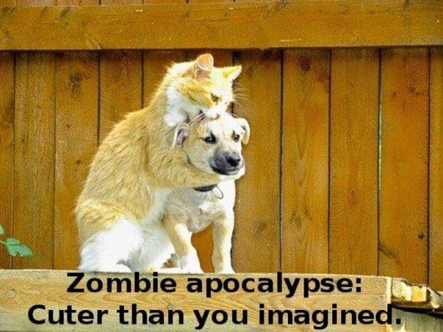 Obrázek Zombie apocalypse