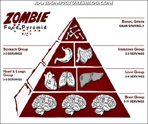 Obrázek Zombie food pyramid