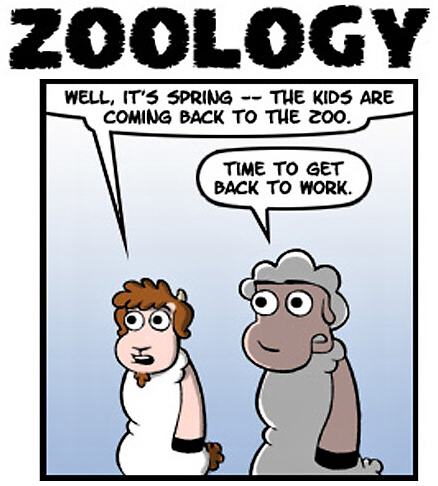 Obrázek Zoology4 - cartoon