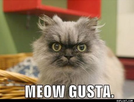 Obrázek  Meow Gusta