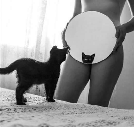 Obrázek  Rekni zrcadlo ktera kocicka je nejhezci 