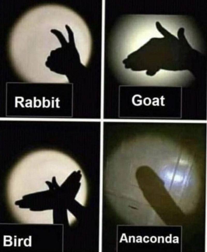 Obrázek   anaconda