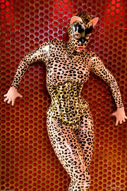 Obrázek  cat girl