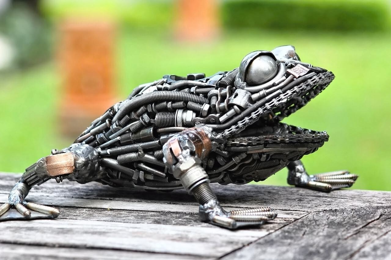Obrázek  cyberfrog 