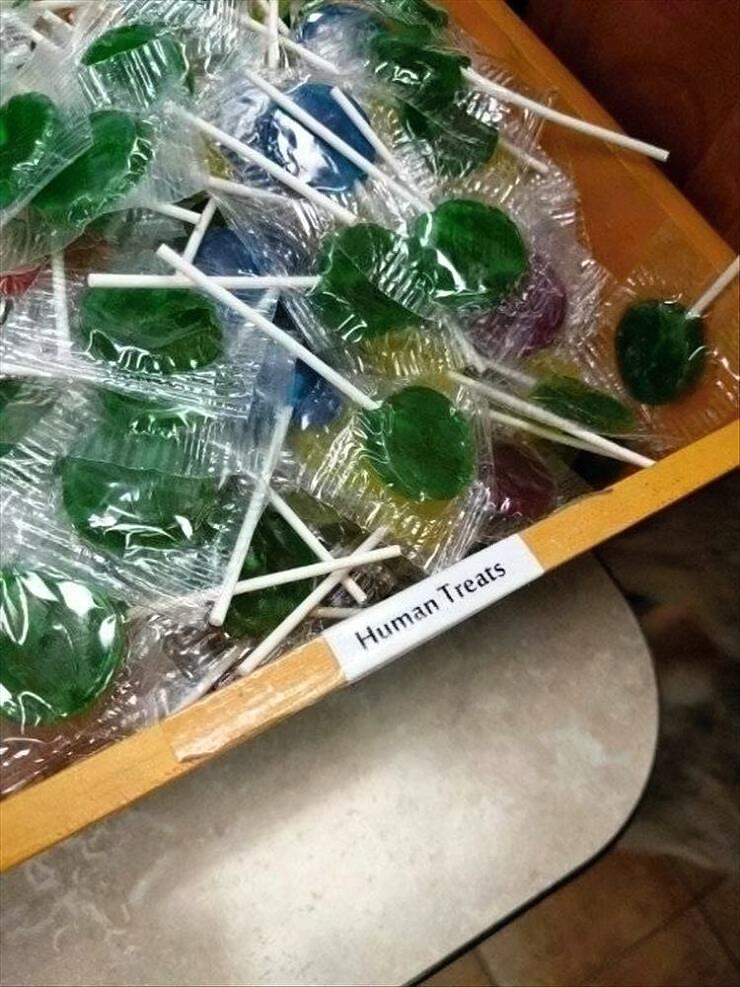 Obrázek  h treats 