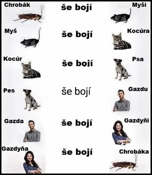 Obrázek  se boji 