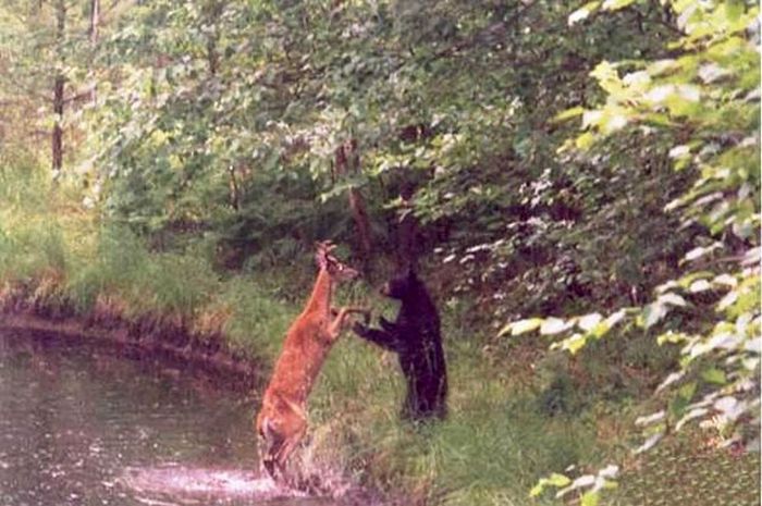 Obrázek a sup do vody