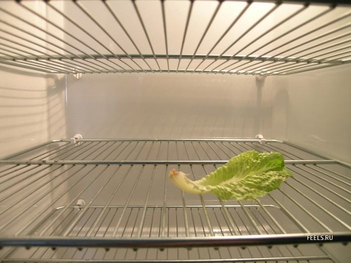 Obrázek absolutne prazda lednice