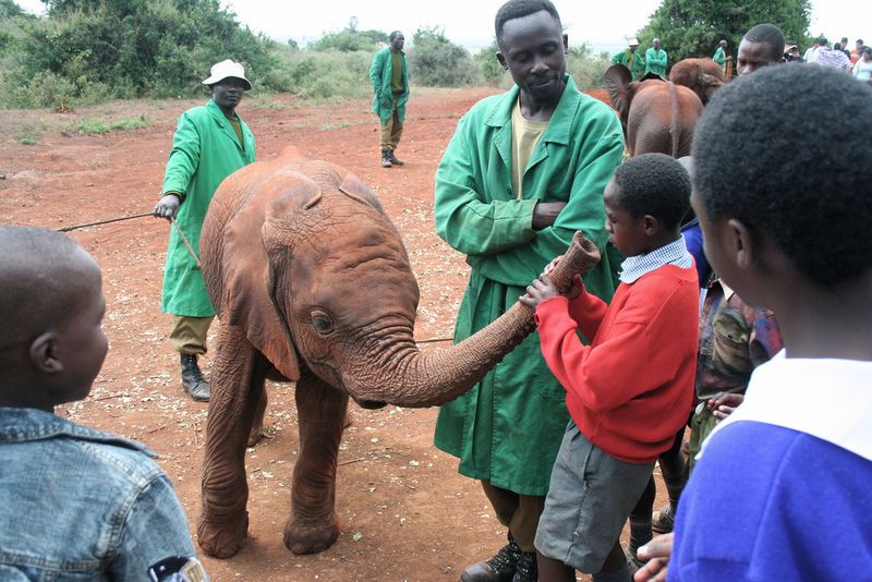 Obrázek africky.mobil