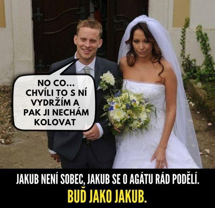 Obrázek agakol