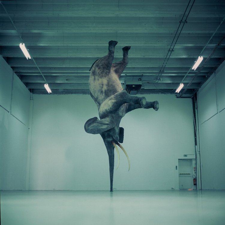 Obrázek akrobat
