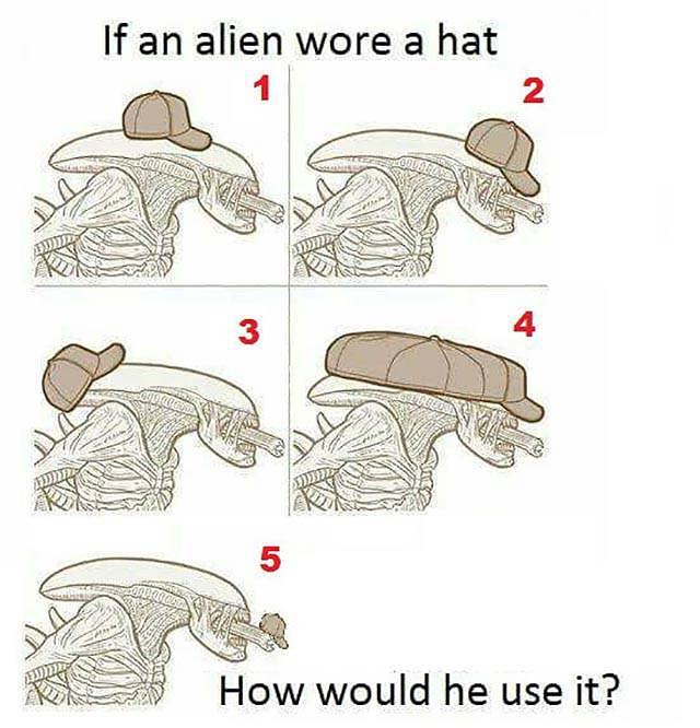 Obrázek alien wore