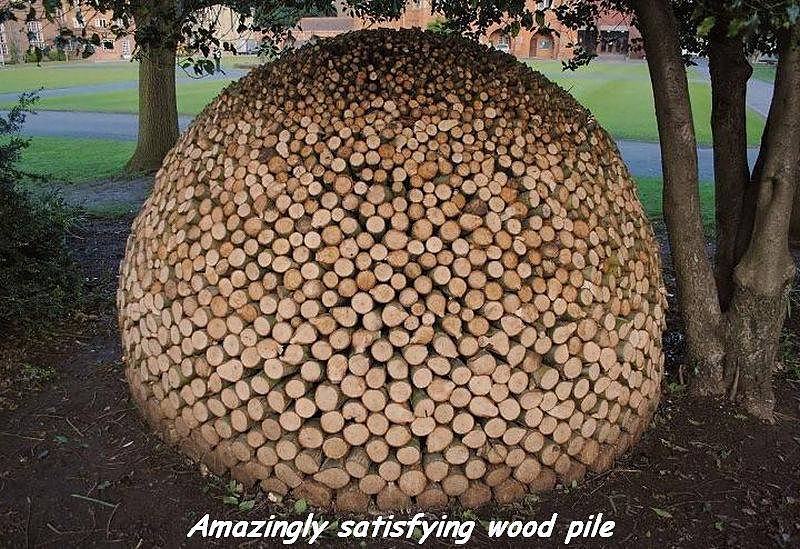 Obrázek amazing-wood pile
