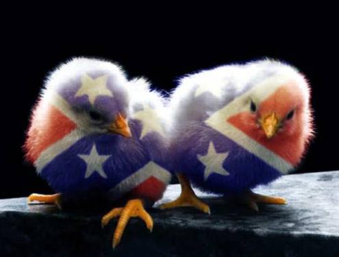 Obrázek american chicks