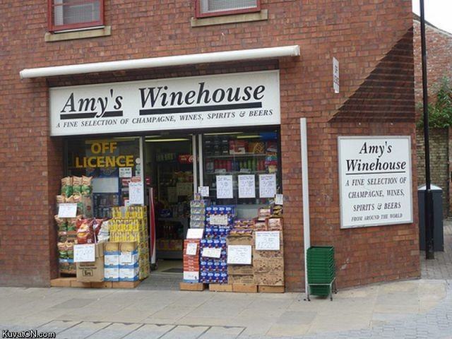 Obrázek amys winehouse