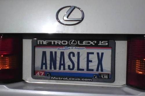 Obrázek analsex