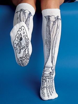 Obrázek anatomicke ponozky