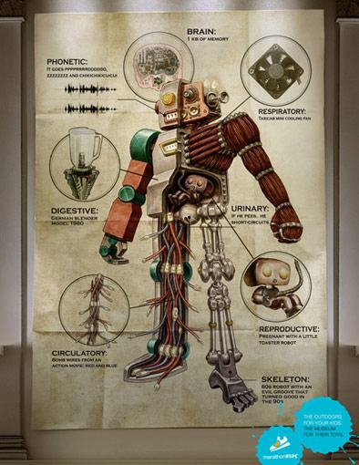 Obrázek anatomy2010 5B1 5D