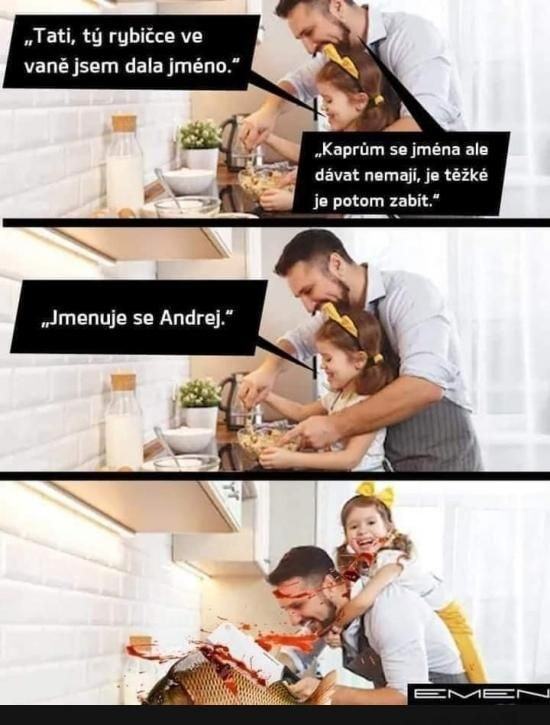 Obrázek androkap