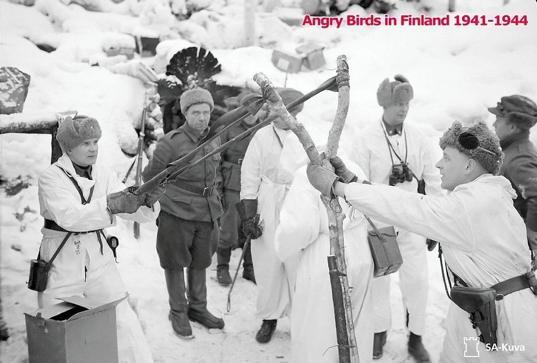 Obrázek angry birds in finland