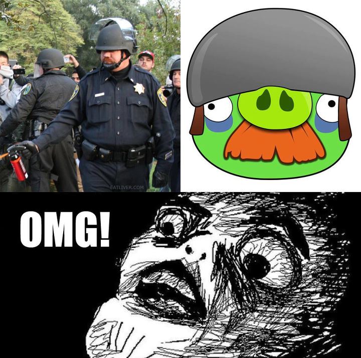 Obrázek angrybirdspolice