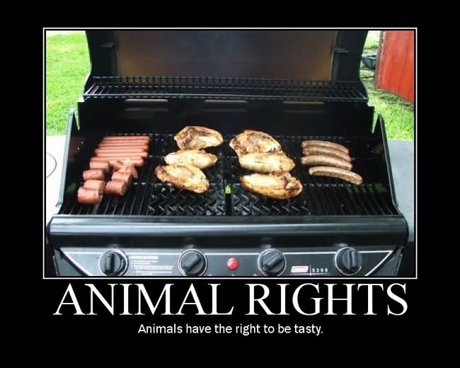 Obrázek animal rights