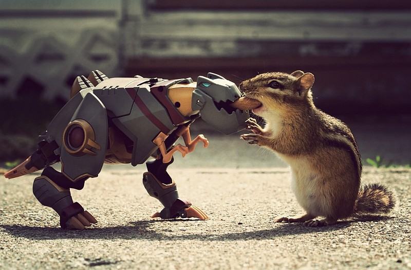 Obrázek animal vs beast