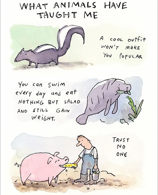 Obrázek animals-teaching