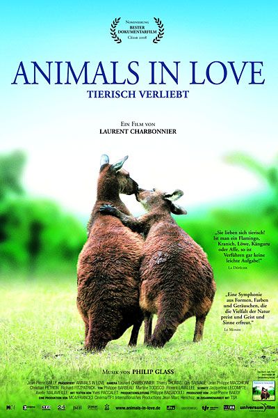 Obrázek animals in love
