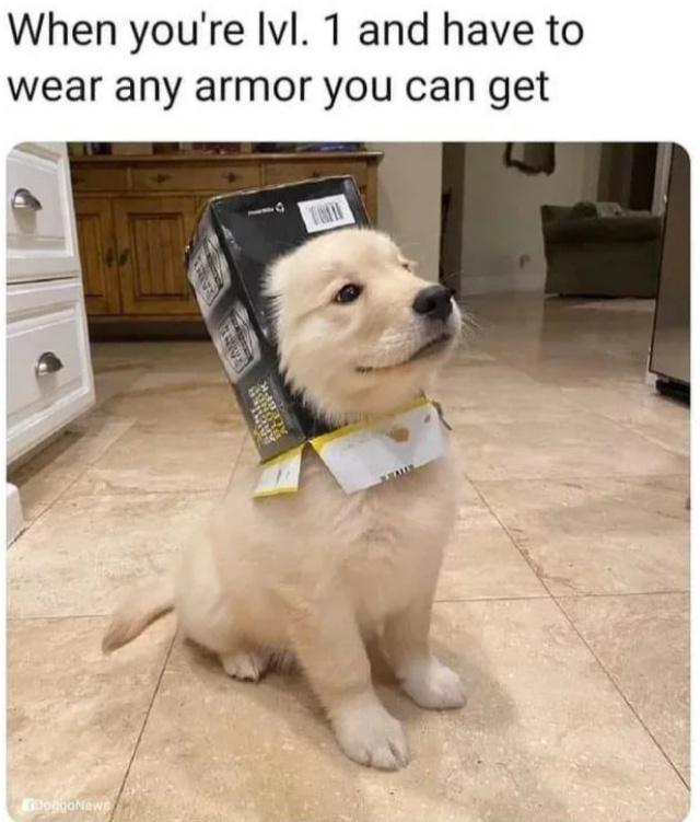 Obrázek any armor