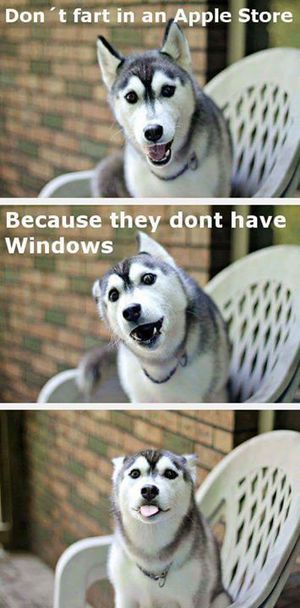 Obrázek apple&nbsp;store